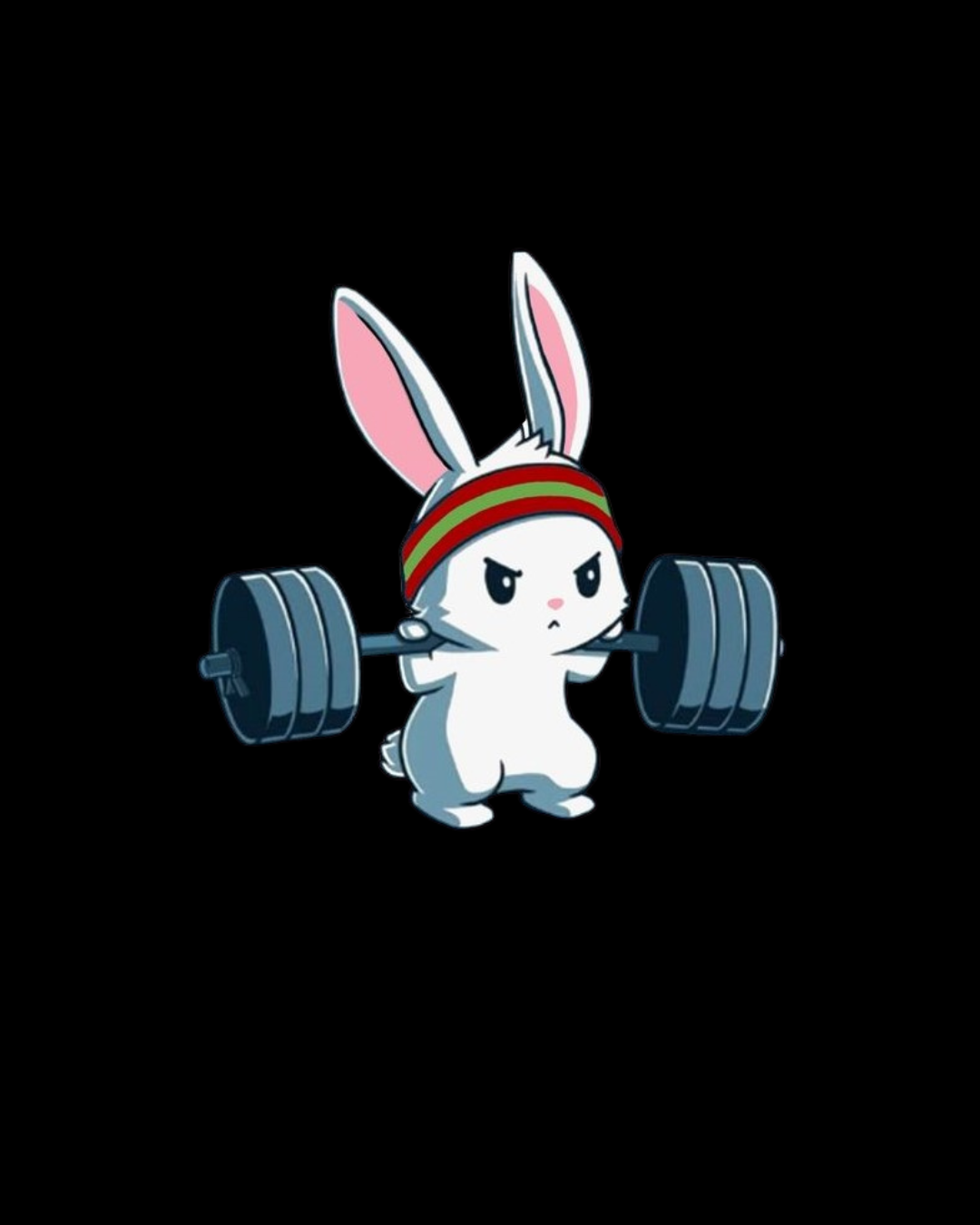 Camiseta T-Shirt Feminina Coelho Fit Classic